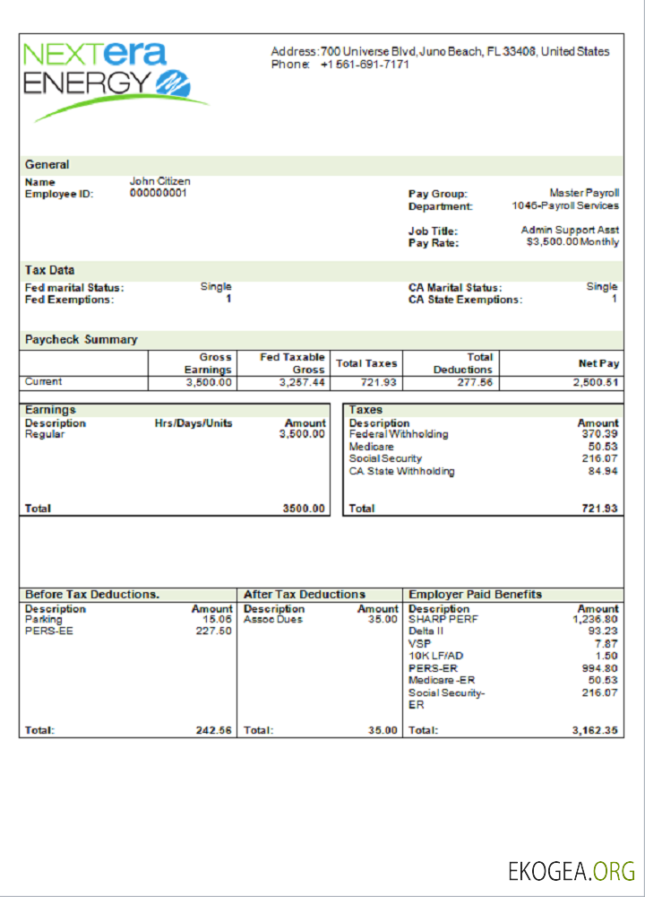 Bulletin de paie de la société d'électricité USA NextEra Energy